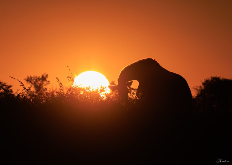 Namibie et Botswana 2026, ma leçon de vie #Chapitre 1